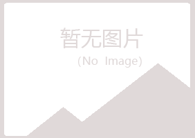 青岛黄岛含蕾培训有限公司